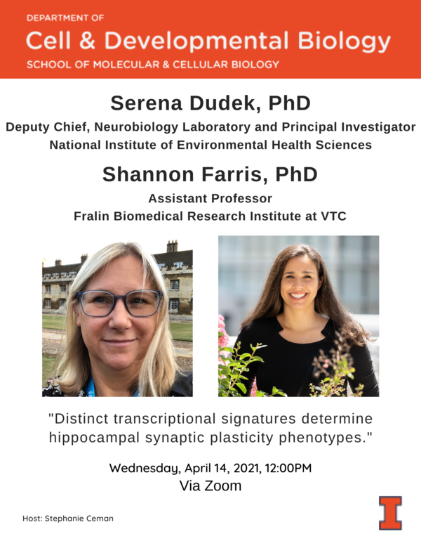 Dudek-Farris Seminar Flyer