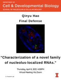 Qinyu Hao Final Defense Flyer