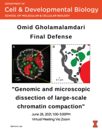 Final Defense Flyer