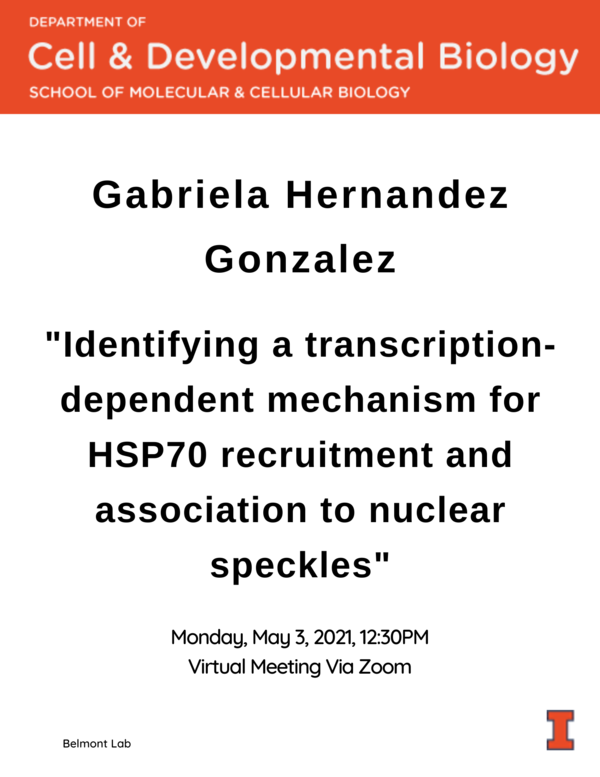 Gabriela Hernandez Gonzalez Spring 2021 Flyer