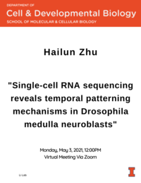Hailun Zhu Spring 2021 Flyer