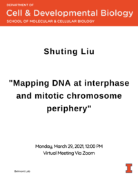 Shuting Liu, Mapping DNA at interphase and mitotic chromosome periphery, March 29, 2021, Belmont Lab