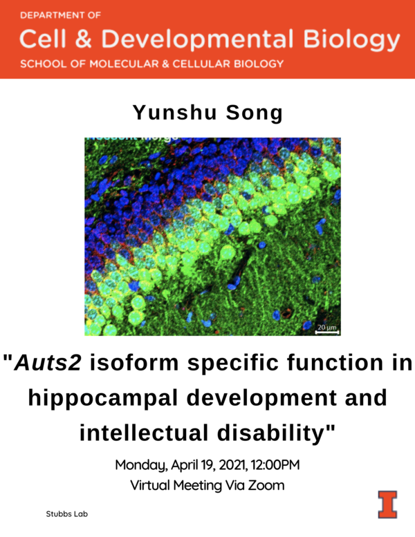 Yunshu Song Spring 2021 Flyer