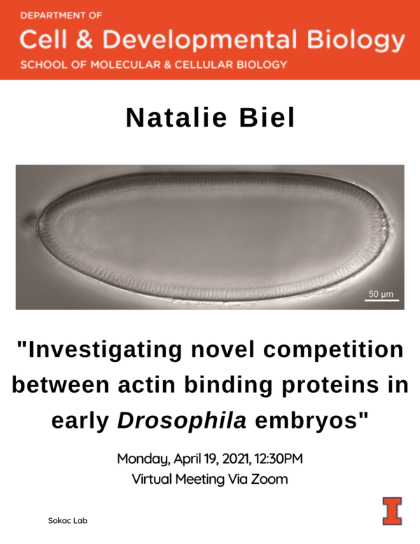 Natalie Biel Spring 2021 Flyer