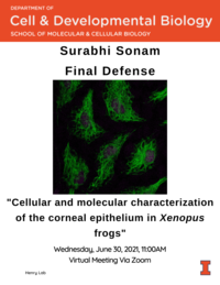 Final Defense Flyer
