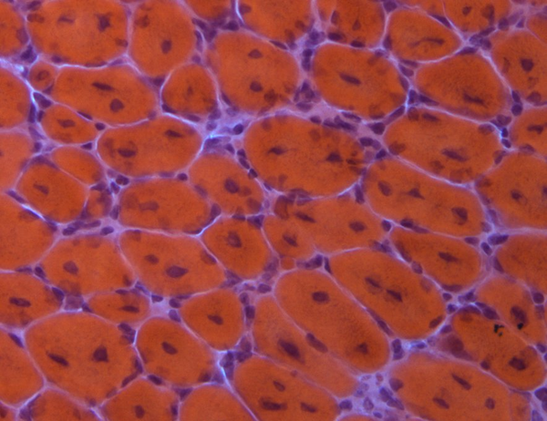 Dongwook Kim Defense Image